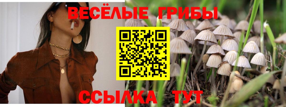 Галлюциногенные грибы мицелий Зеленокумск