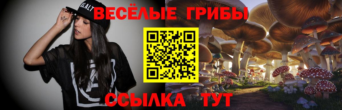 Псилоцибиновые грибы Psilocybe  Вход с VPN  закладки  Зеленокумск 